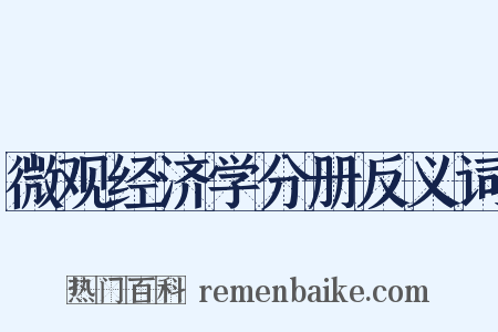 微观经济学分册反义词是什么意思的图片